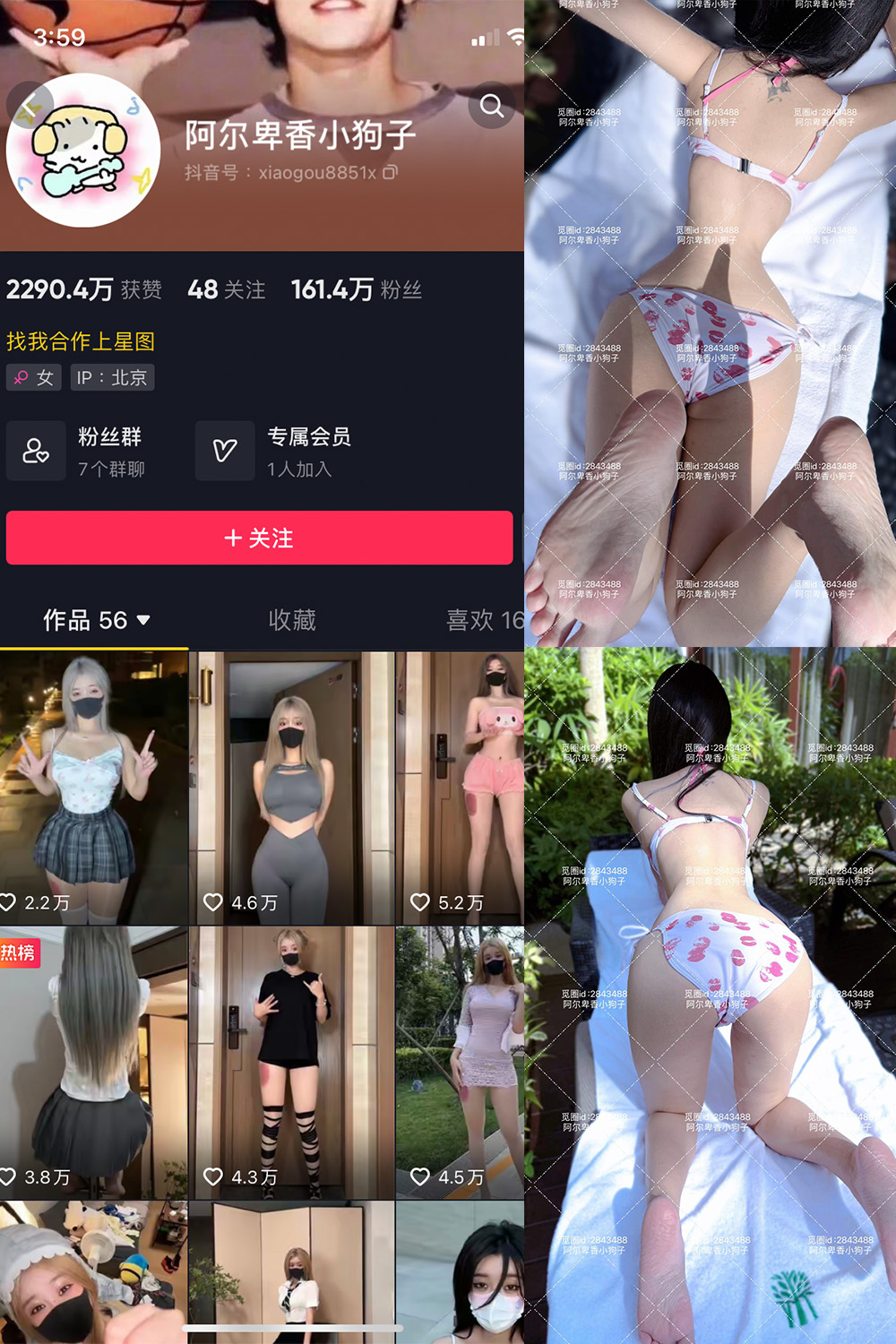 抖音 阿尔卑香小狗子 微密圈照片资源  NO.060期 【17P】最新至:2025.2.8 抖音 阿尔卑香小狗子 微密圈照片资源  NO.060期 【17P】最新至:2025.2.8