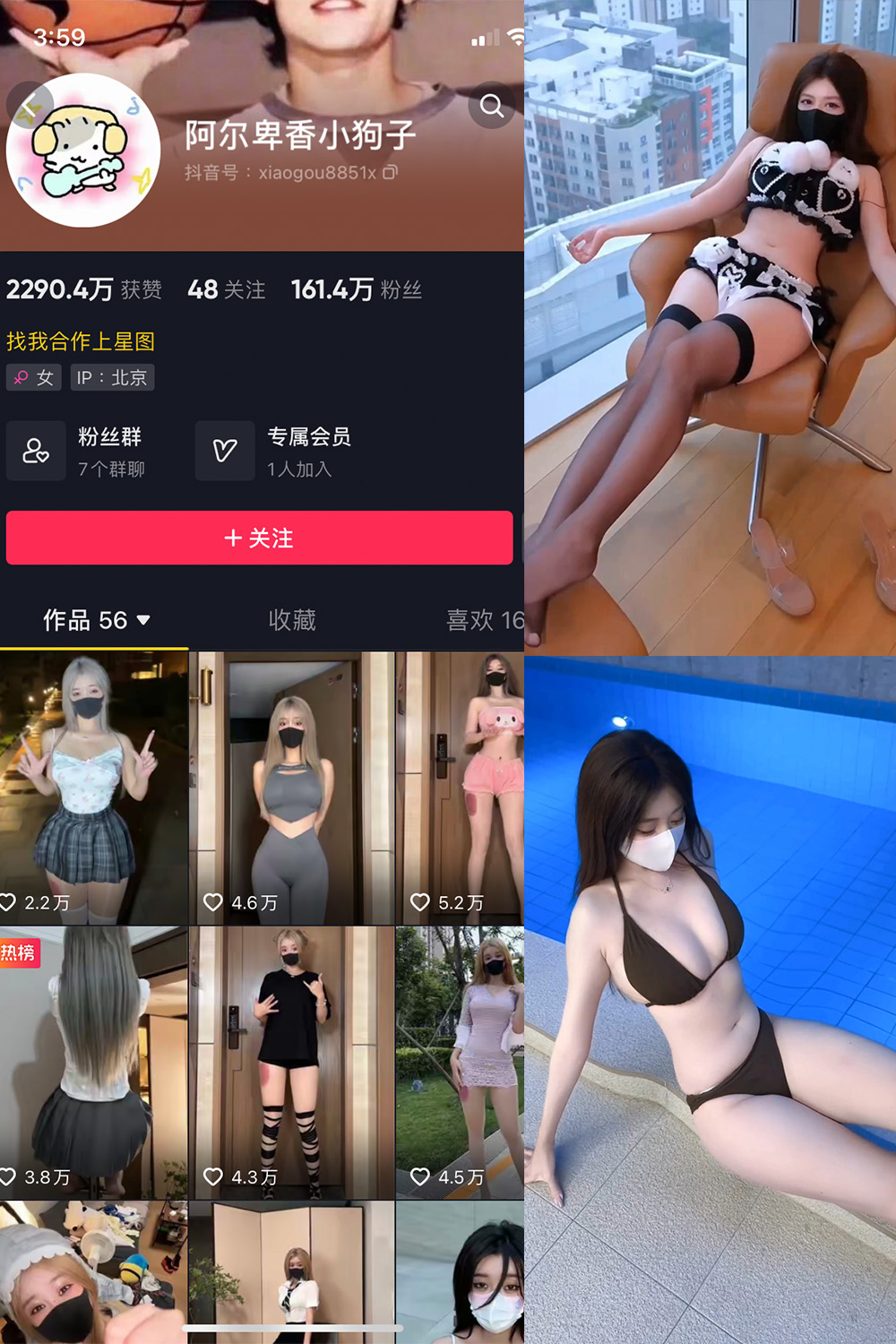 抖音 阿尔卑香小狗子 微密圈照片资源 | 觅圈  NO.062期 【8V】最新至:2025.5.22 抖音 阿尔卑香小狗子 微密圈照片资源 | 觅圈  NO.062期 【8V】最新至:2025.5.22