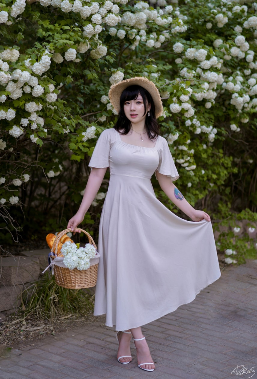 皮皮奶可可爱了啦 绣球花下载欣赏