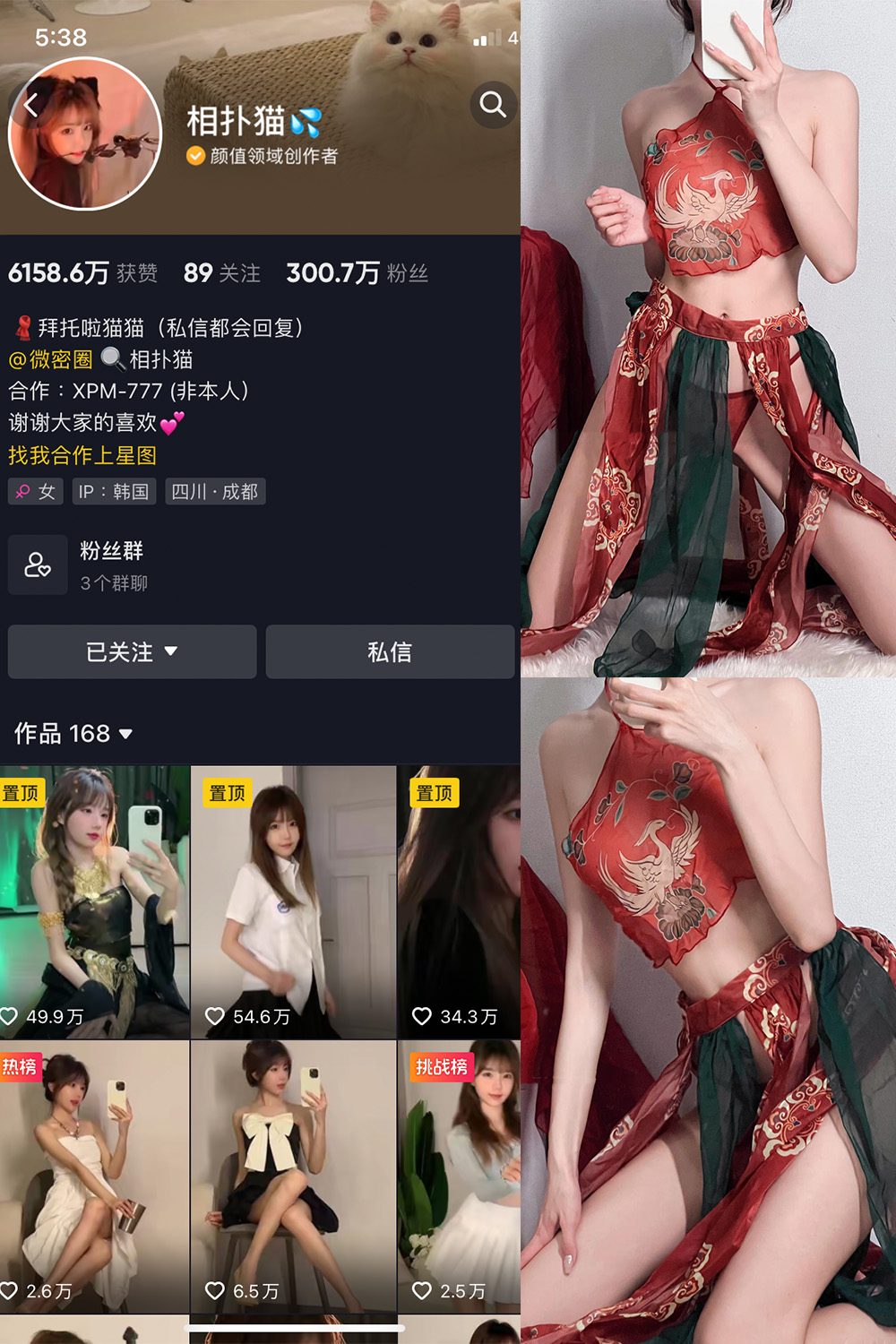 抖音 相扑猫 微密圈 嘉宾贴 NO.003期 【15P】 抖音微密 第1张-玩偶兔 抖音 相扑猫 微密圈 嘉宾贴 NO.003期 【15P】 抖音微密 第1张