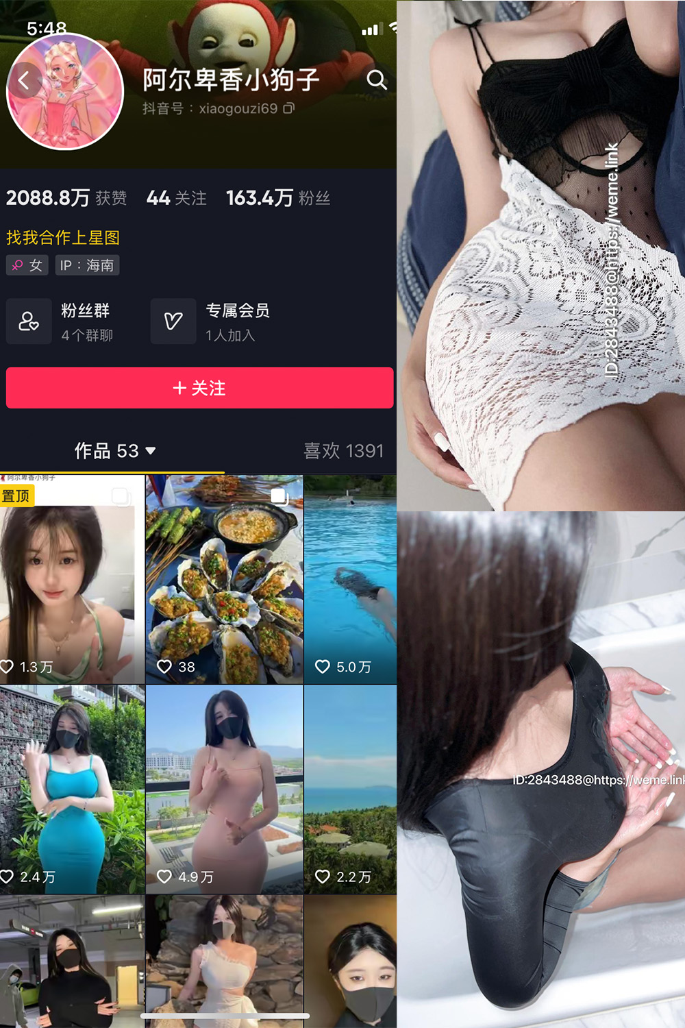 抖音 阿尔卑香小狗子 微密圈 NO.011期 【36P1V】最新至:2023.7.6 抖音微密 第1张-玩偶兔 抖音 阿尔卑香小狗子 微密圈 NO.011期 【36P1V】最新至:2023.7.6 抖音微密 第1张